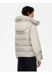 chaqueta dog