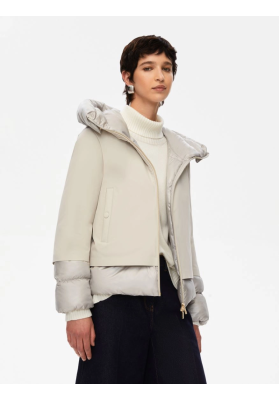 chaqueta dog